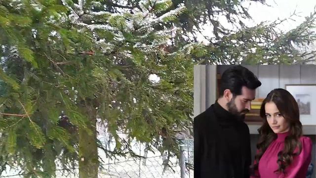Кровавые цветы 58 серия на русском языке. Новый турецкий сериал