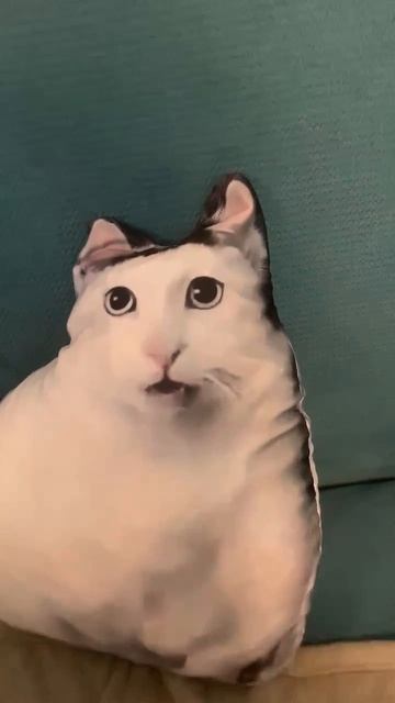 Кот ждет своих пельменей