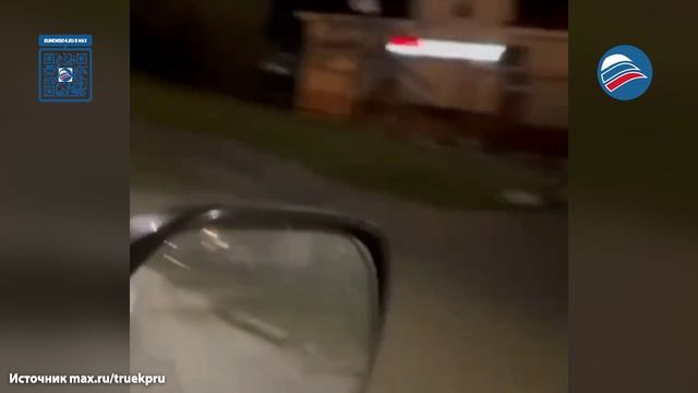 Магаданец убежал от разъяренного медведя