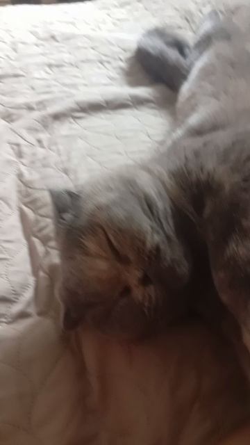 1000001506.mp4
