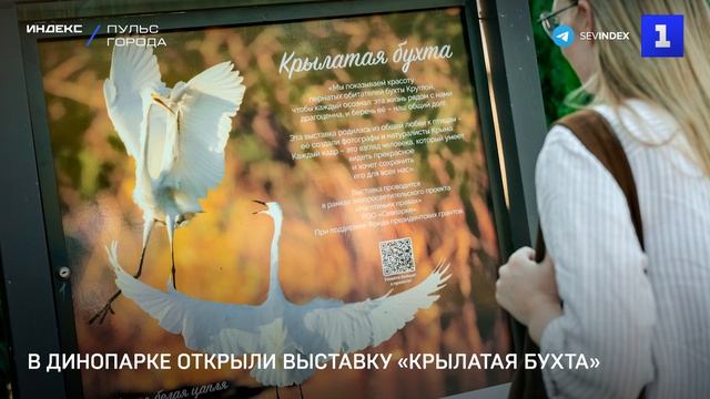 В Динопарке открыли выставку Крылатая бухта