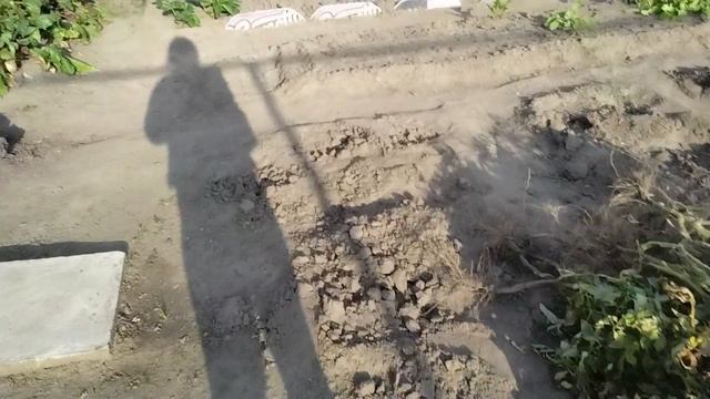 1000015326.mp4