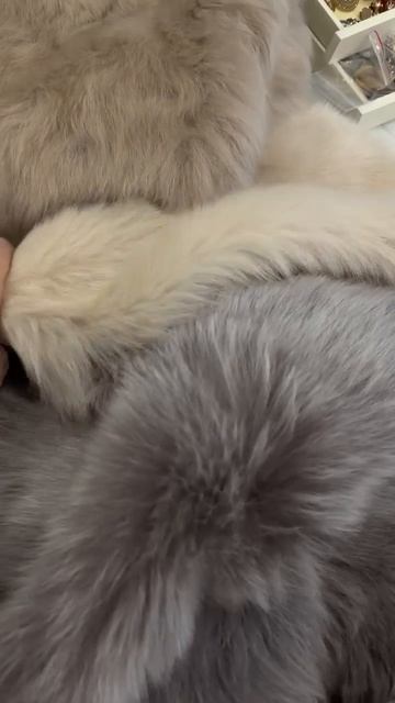 Suede For Our Loved