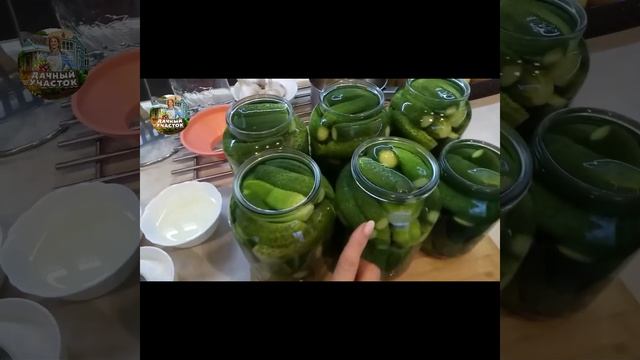 Отличный способ засолить огурцы все максимально понятно и подробно.mp4