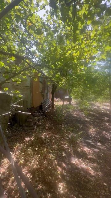 Участок с водоемом 7 соток в СНТ для дома мечты в дали от глаз Черное море
