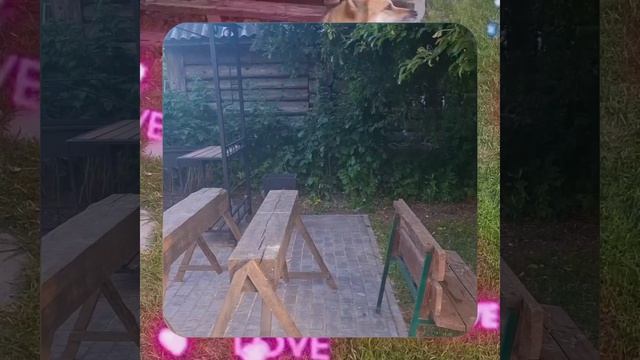 1000068047.mp4 Собака слушает о установке стоек в северную нишу на 2-ом этаже в доме А-фрейм