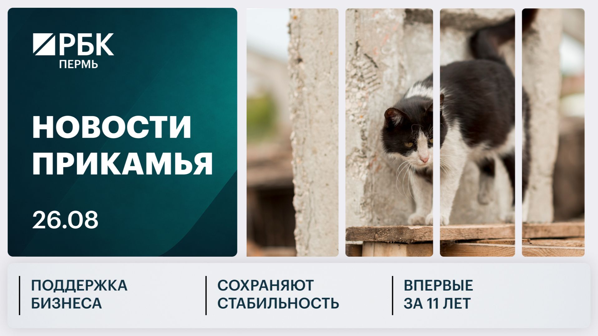 Поддержка бизнеса  Сохраняют стабильность  Впервые за 11 лет