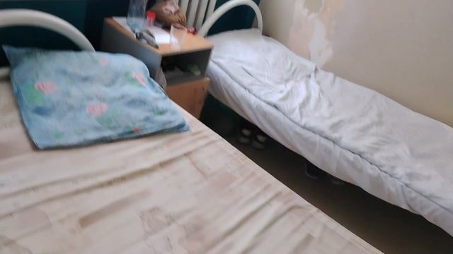 новые соседи