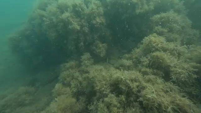 1000472302.mp4