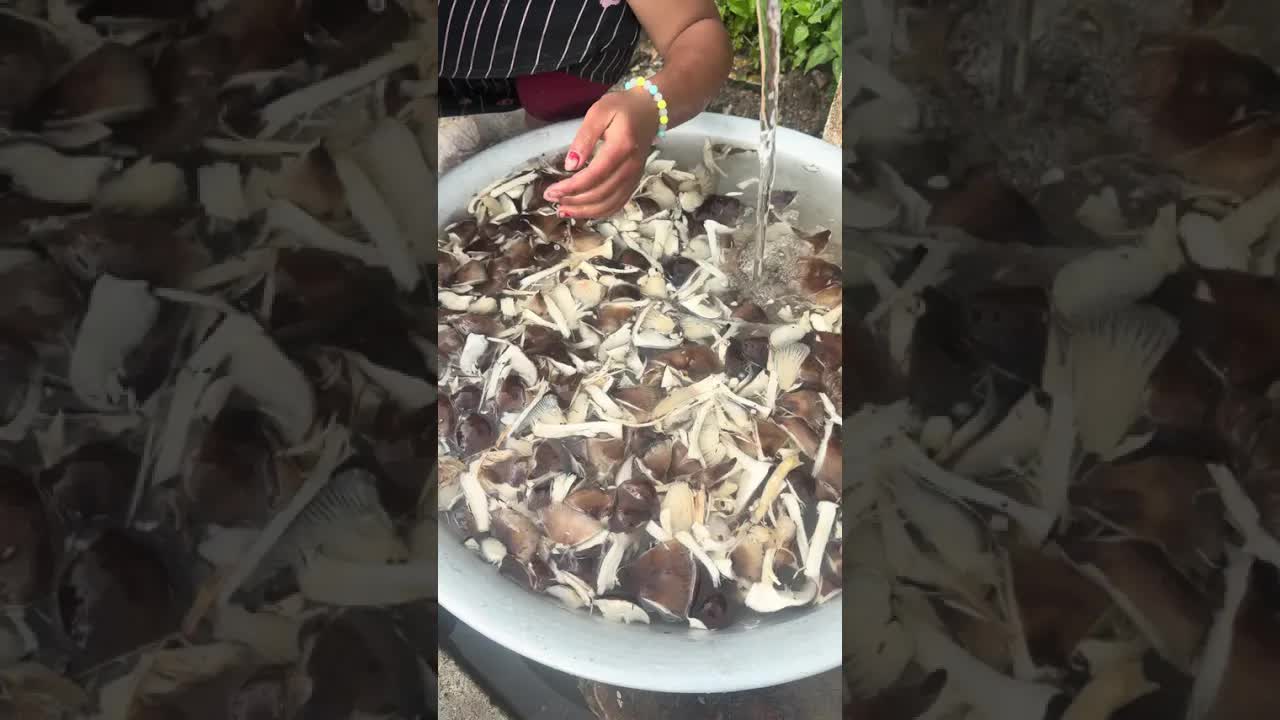 Деревенская жизнь