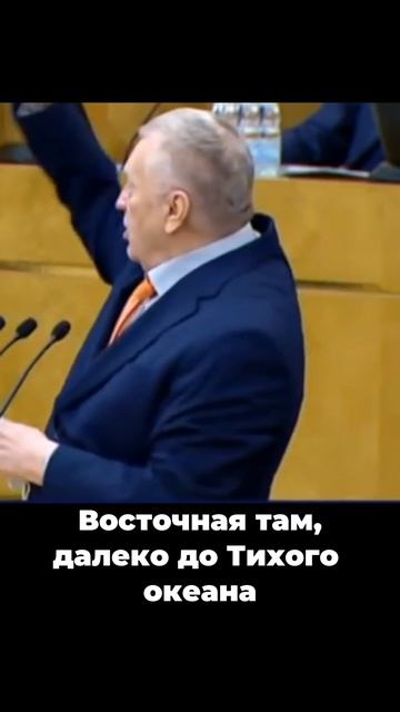 Жириновский знал главную проблему России