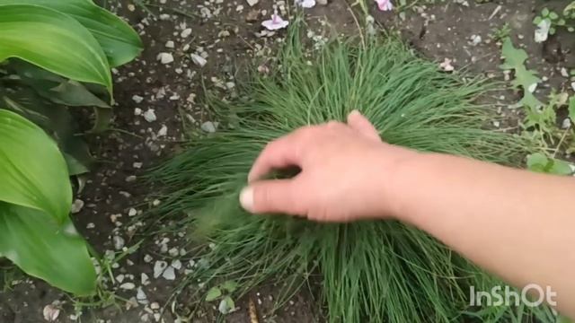 Продолжаем воплощать мечту в жизнь.