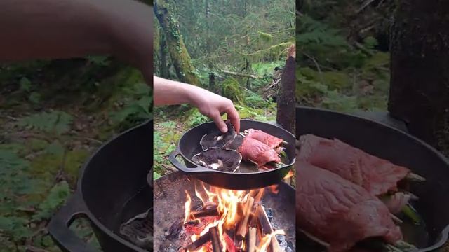 Жареный стейк у костра