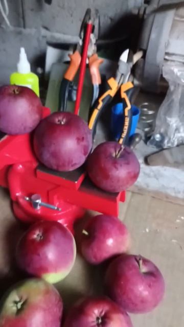 Яблочки в гараже