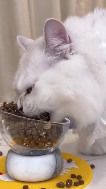 Чуть-чуть откусить