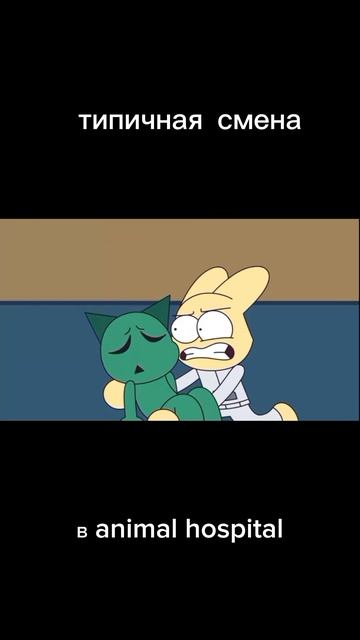 типичная смена в Animal Hospital Shorts