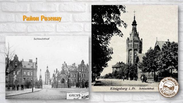 Тувангсте. Кенигсберг. Калининград