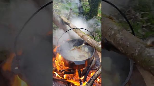 Свиная вырезка приготовленная в лесу