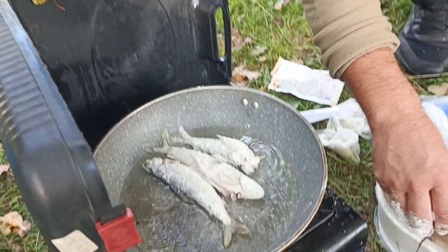 Отдыхаем! Варимжарим свеженького харюска