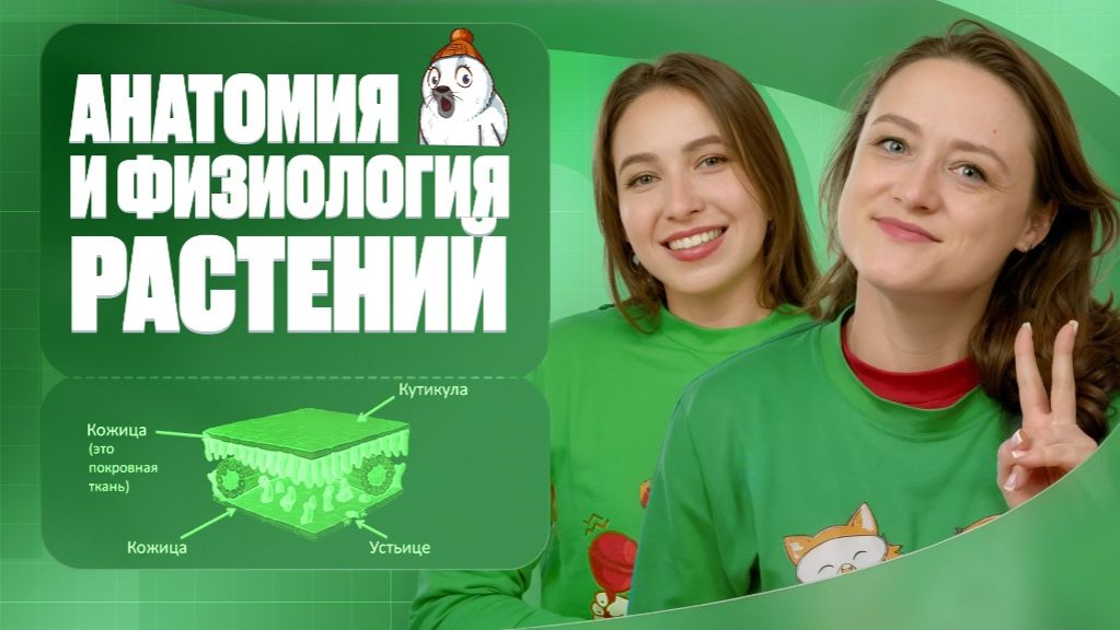 Анатомия и физиология растений  Вспомнить всё  ЕГЭ-2025 с Биологическим Тюленем