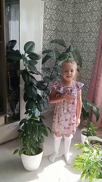 Емельянова Арина 7 лет. Н. М. Рубцов Берёзы