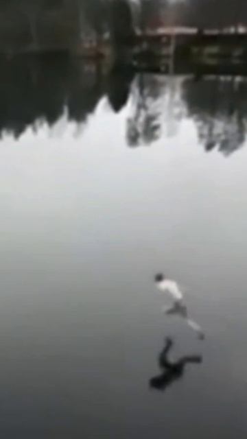 я и моя логика