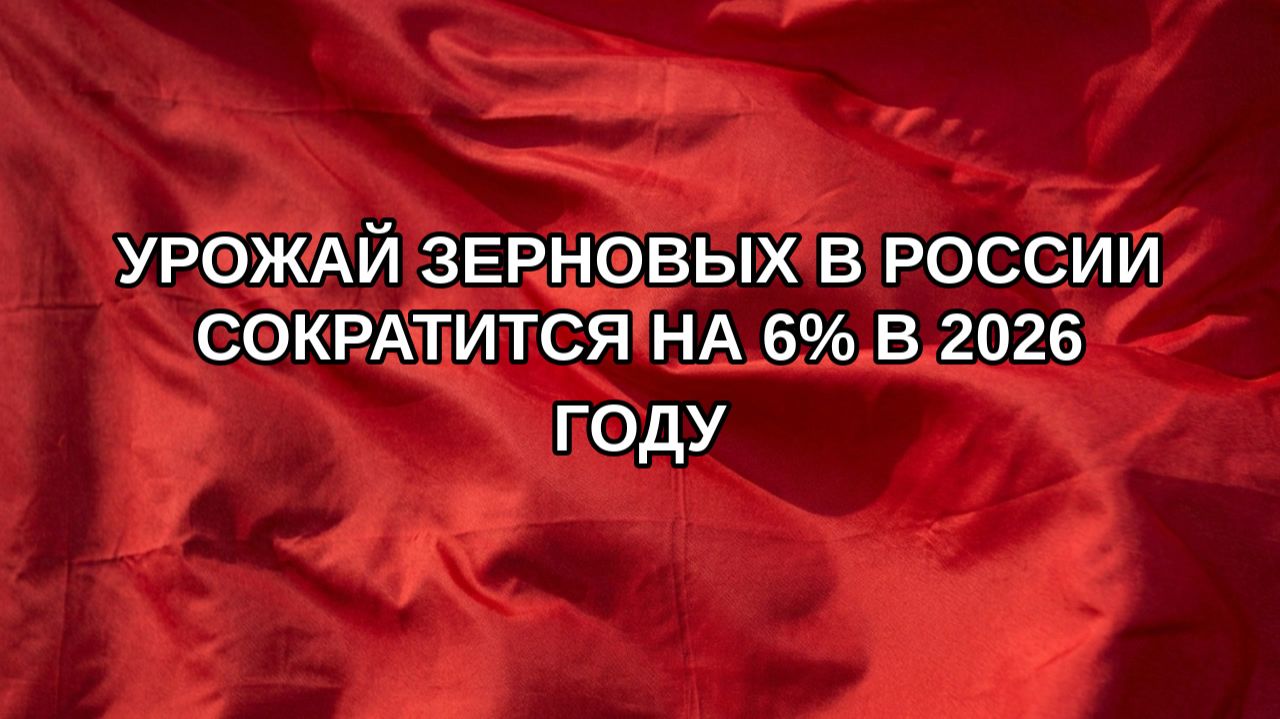 Урожай зерновых в России сократится на 6 в 2026 году