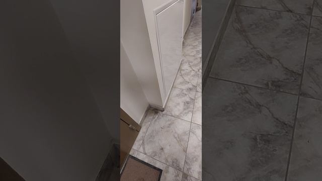 1001002596.mp4