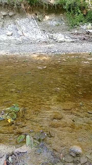 совет