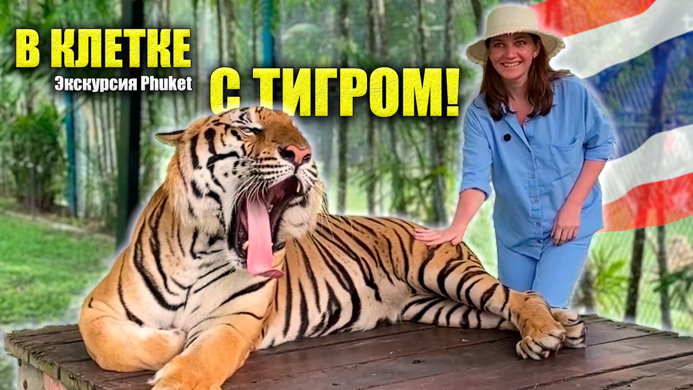 Обзорная Экскурсия Пхукет: ТИГРОВЫЙ ПАРК ШОУ РЕПТИЛИЙ Буддийский Храм ВАТ ЧАЛОНГ Музей здоров.сна