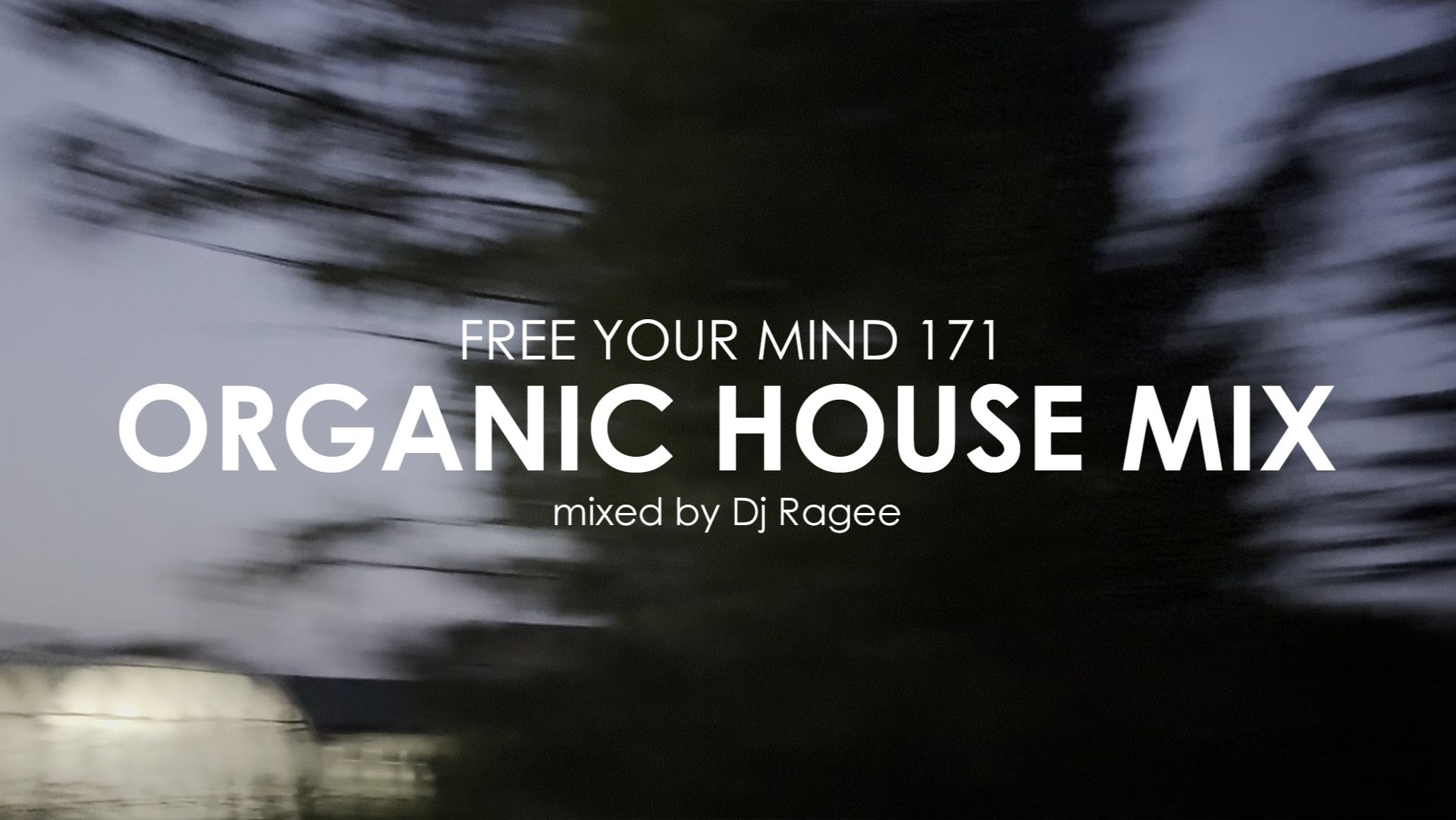 Organic House Mix. Free Your Mind 171 - Mixed By Dj Ragee