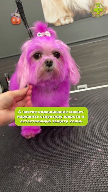 Ставьте лайк