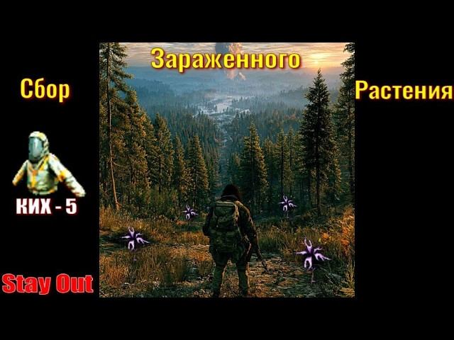 ⭐Stay Out Сбор зараженного растения в КИХ - 5 .Не робит Ютуб  ВК  --  PLAY