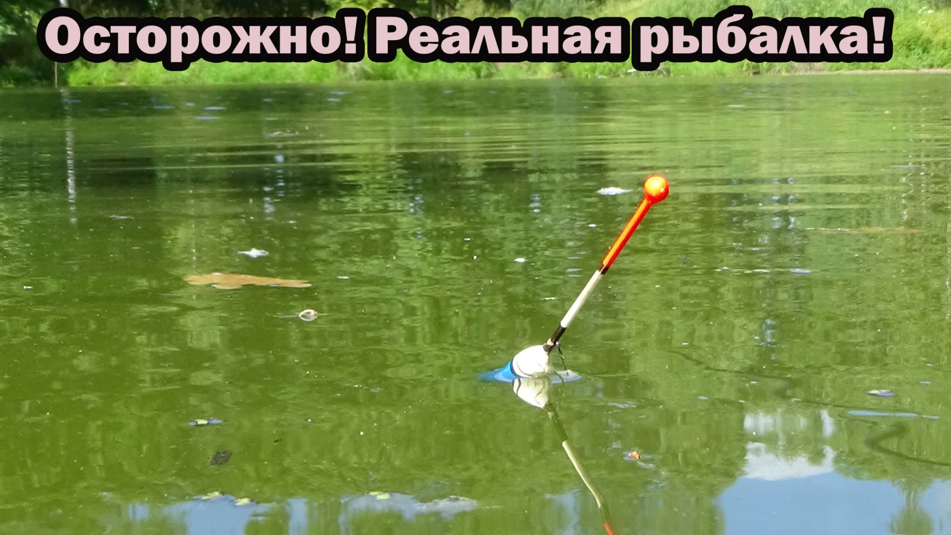 Рыбалка 25 августа на карася в вырытой яме среди ровного дна на поплавок на удочку, сериал.