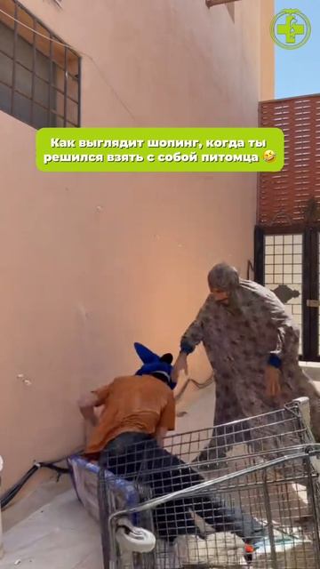 Ставьте лайк