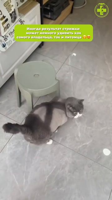 Ставьте лайк
