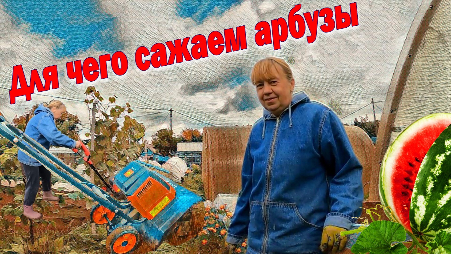 Для чего сажаем арбузы Про чёрную смородину
