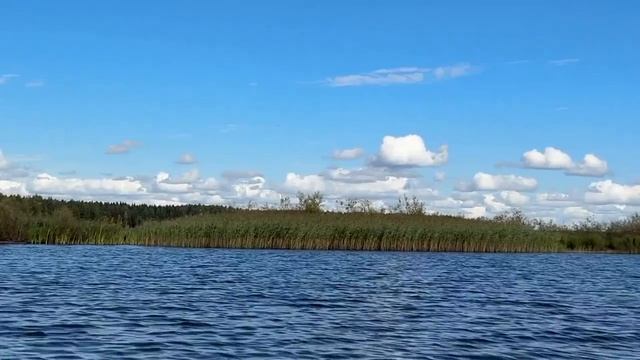 VГ#221) БелоХолуницкий Пруд: Кувшинковые Острова.