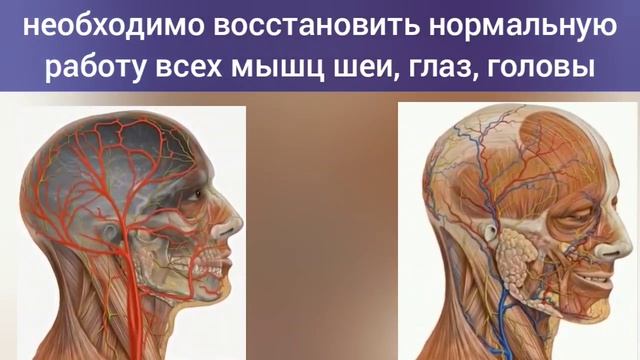 5 точек: улучшаем зрение, слух, память, внимание. Упражнения для шеи и мозга