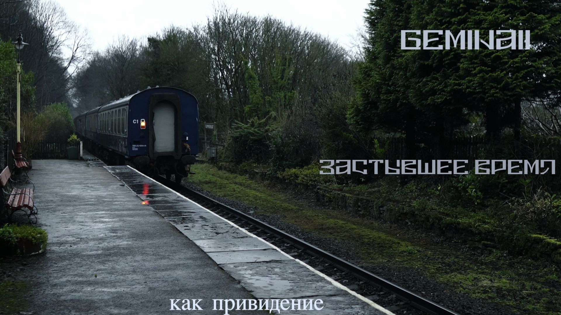 GEMINAII-ЗАСТЫВШЕЕ ВРЕМЯ SKAISTA 2