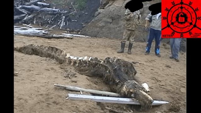 SCP-682 
