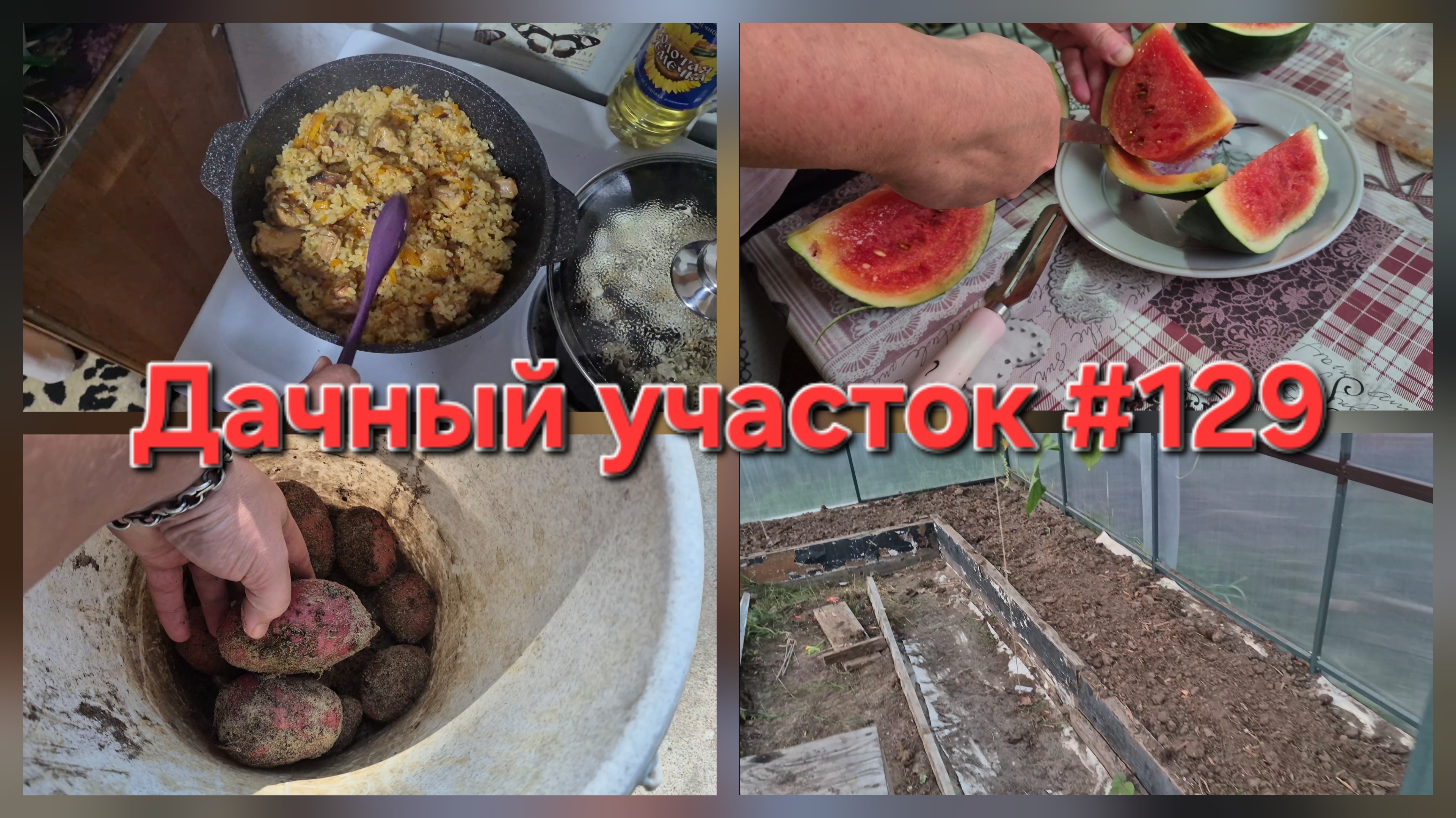 АРБУЗ В СИБИРИ! Снимаем урожай и готовим ПЛОВ в новом казане на костре (#129)