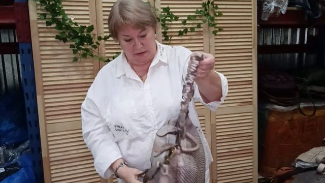 28 августа.Итальянские сумки.тел.89060521231.89096786261.Татьяна