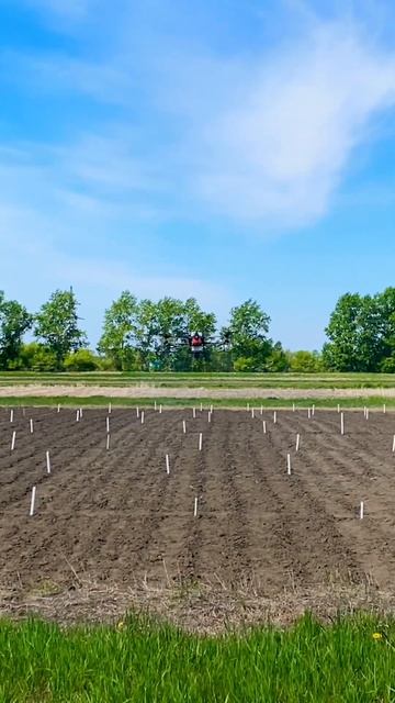DJI T20 AGRAS #dji #djit20 #djiagras #agrast20 #djiagriculture #drone #агроопыты