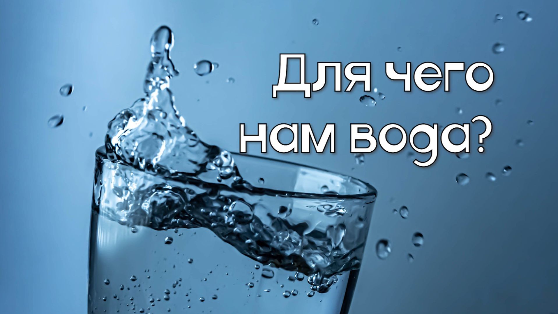 Соколечение 2026 - 