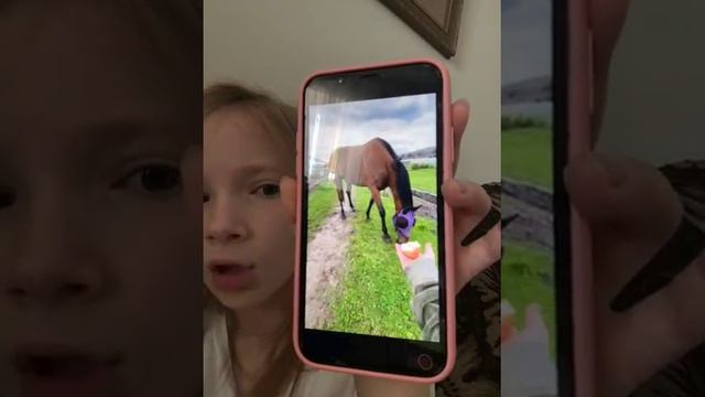 Два телефона