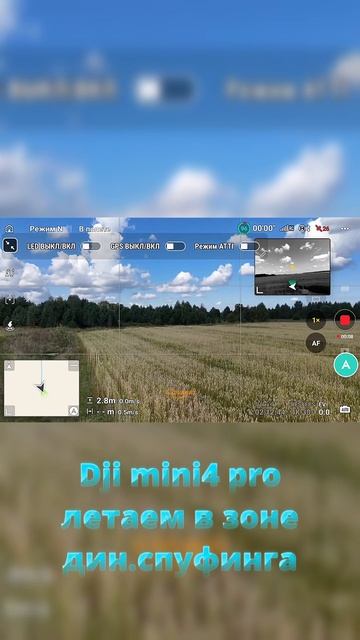 Dji Mini4 Pro - в зоне спуфинга #drone #dji #gps