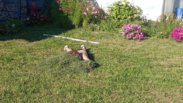 пикник на природе август 2026