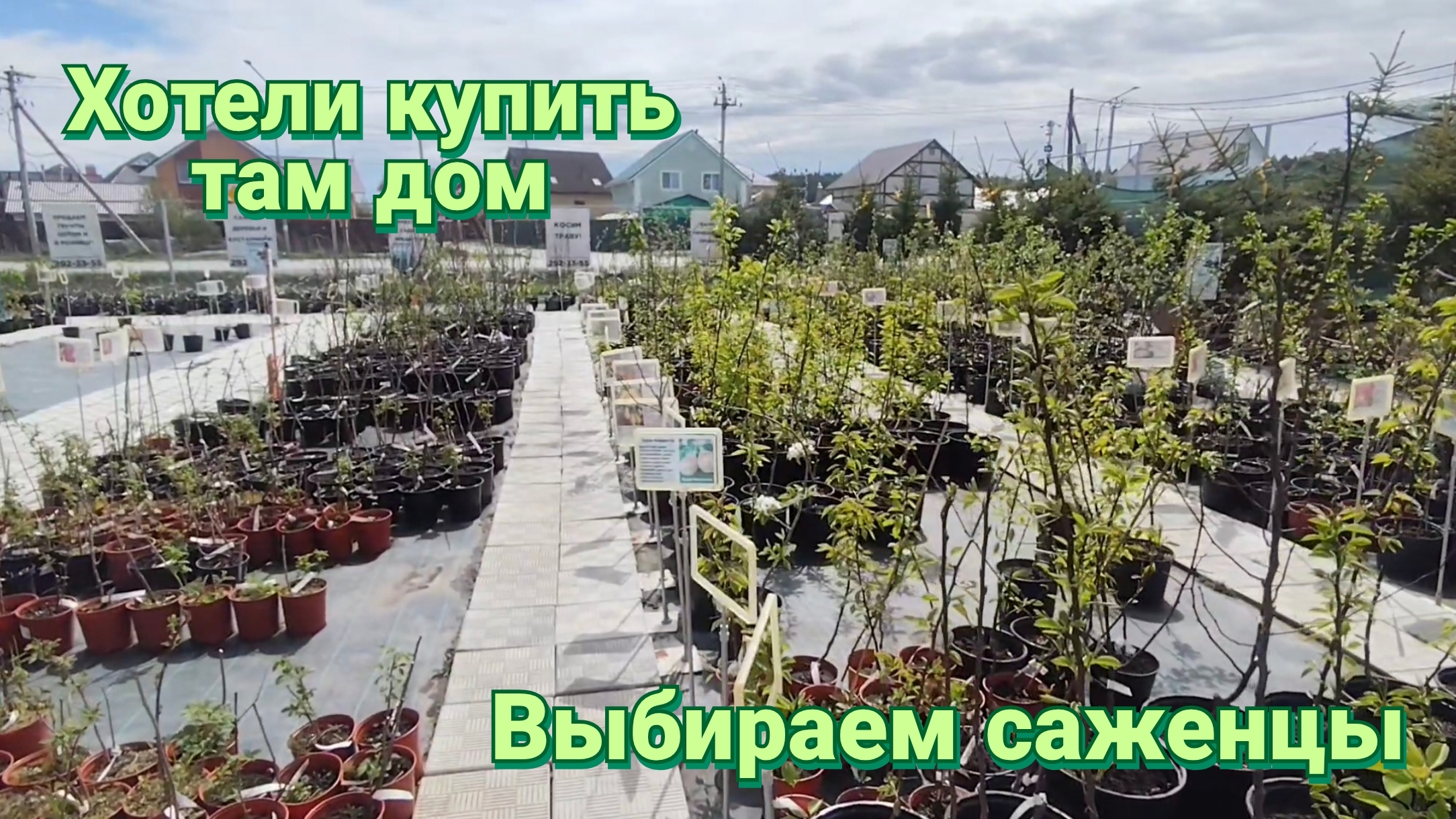 Хотели купить там дом. Выбираем саженцы