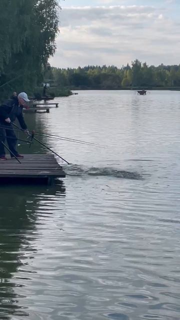 ловля карпа,карповая рыбалка РК 